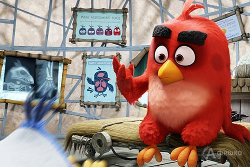 Кадр из анимационной комедии Angry Birds в кино