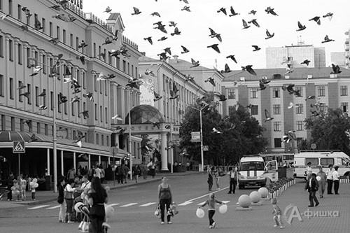 «Белгород – город… голубей» Веры Шамраевой