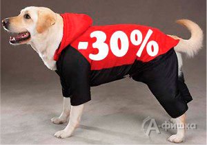Распродажа одежды для животных в «Сим-Сим»