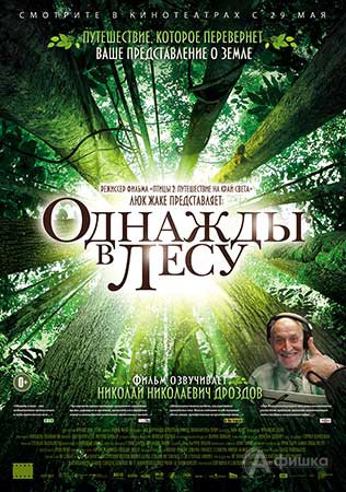 Киноафиша Белгорода: документальный фильм «Однажды в лесу»