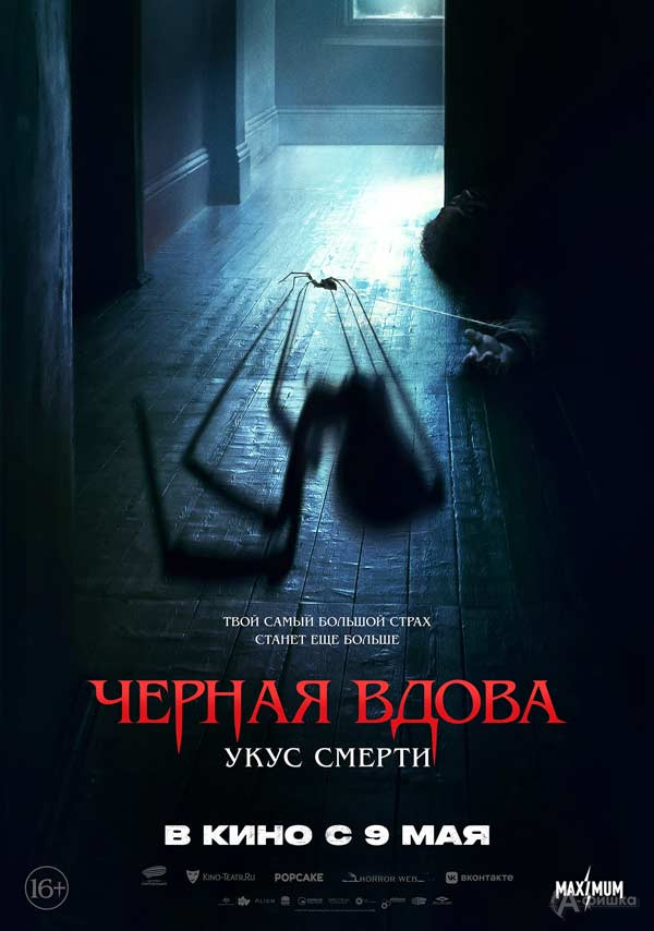 Фильм ужасов «Черная вдова. Укус смерти»: Киноафиша Белгорода