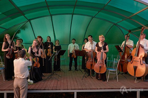 Камерный оркестр Mezzo Music Натальи Боровик открывает цикл концертов «НеслуЧАЙные встречи» в Ботаническом саду
