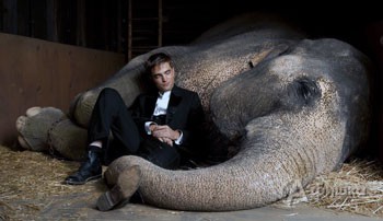 Назовите имя изображенной на этой фотографии из фильма «Воды слонам!» 42-летней кинозвезды, а также исполняемую в фильме роль