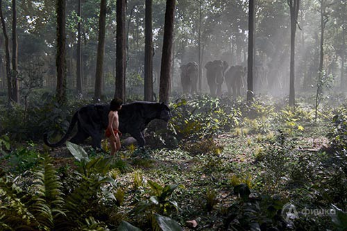 Кадр из фильма «Книга джунглей» 2016 года