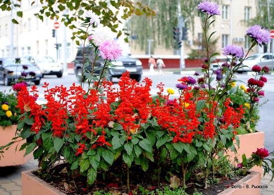 В городе осень
