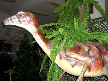 «Мир динозавров» — так называется выставка Санкт-Петербургского палеонтологического музея, которая  открылась в Белгороде, в выставочном зале БГТУ им. В.Г. Шухова.