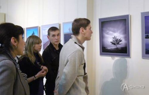 В художественном музее Белгорода проходит выставка по итогам фестиваля «Краса земная»
