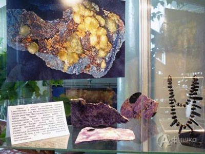 В БГИКМ открылась выставка «Минералы – сокровища Земли»