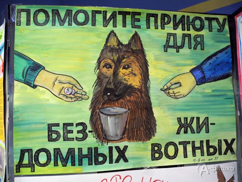Белгородские дети призывают не оставлять без внимания бездомных животных