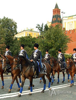В Белгороде откроется «кавалерийская» выставка