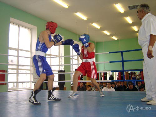 Белгородские городские соревнования боксеров «Открытый ринг» 