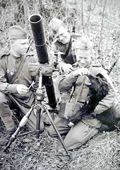 Расчёт 82-мм миномёта на огневой позиции в лесу (1944–1945 гг.)