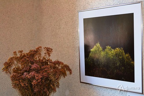 Белгородский филиал Российского фонда культуры приглашает на персональную фотовыставку Евгения Журавлёва «Здравствуй, брат мой!» Белгородский филиал Российского фонда культуры приглашает на персональную фотовыставку Евгения Журавлёва «Здравствуй, брат мой!»